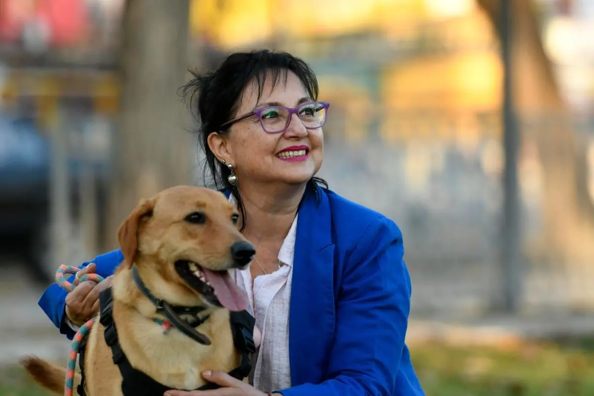 Diputada Marzán insiste en urgencia de crear Registro Nacional de condenados por maltrato animal tras brutales casos en 3 regiones
