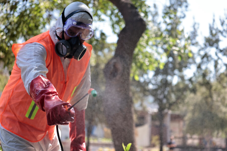 Pesticidas usados en verduras y frutas aumentan riesgo de cáncer tanto como el cigarro