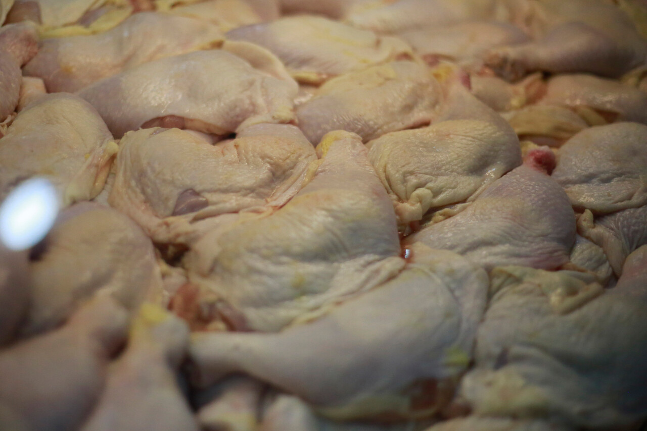¿Subirá el precio? SAG confirma suspensión de importaciones de pollo y huevos desde Argentina
