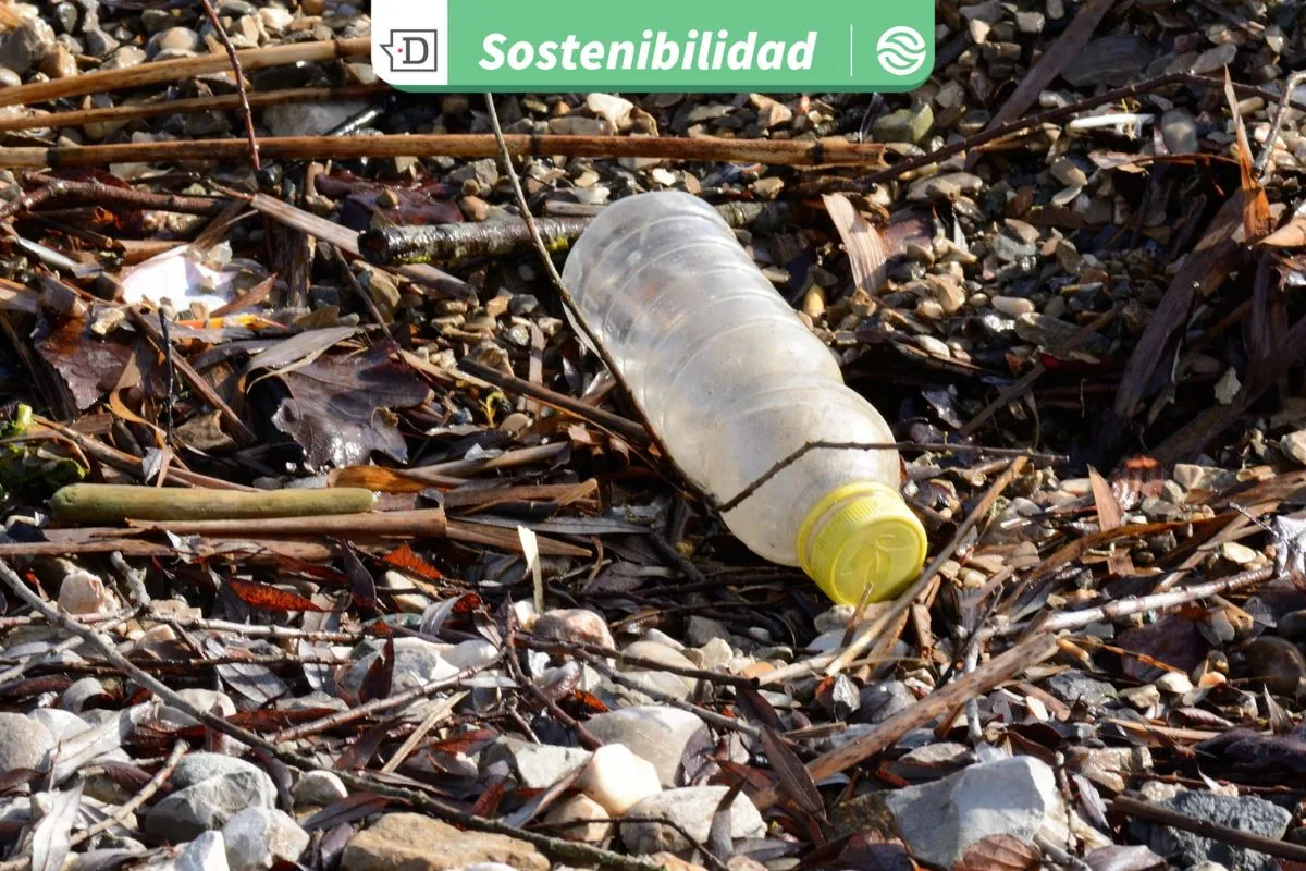 Convocatoria abierta: Programa busca soluciones innovadoras para apurar la circularidad de plásticos en América Latina