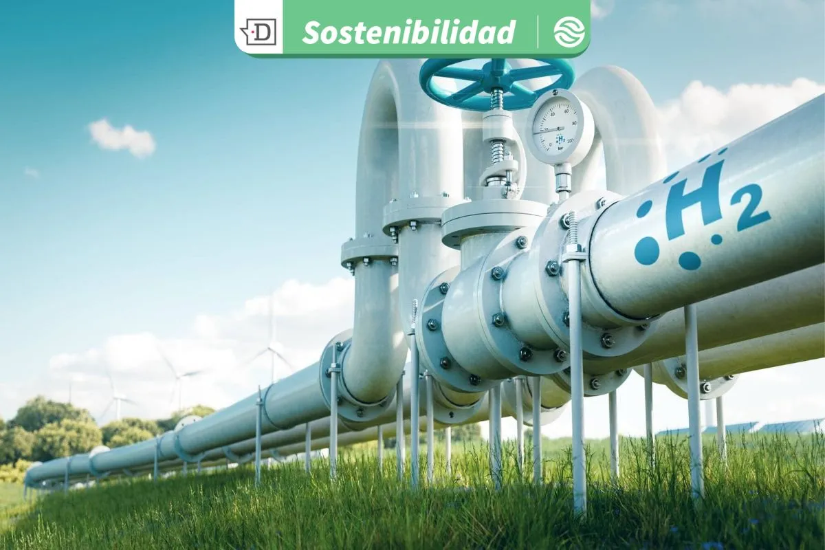 Hidrógeno verde a escala global: Chile da a conocer su liderazgo en materia de energías limpias en semana clave en Japón