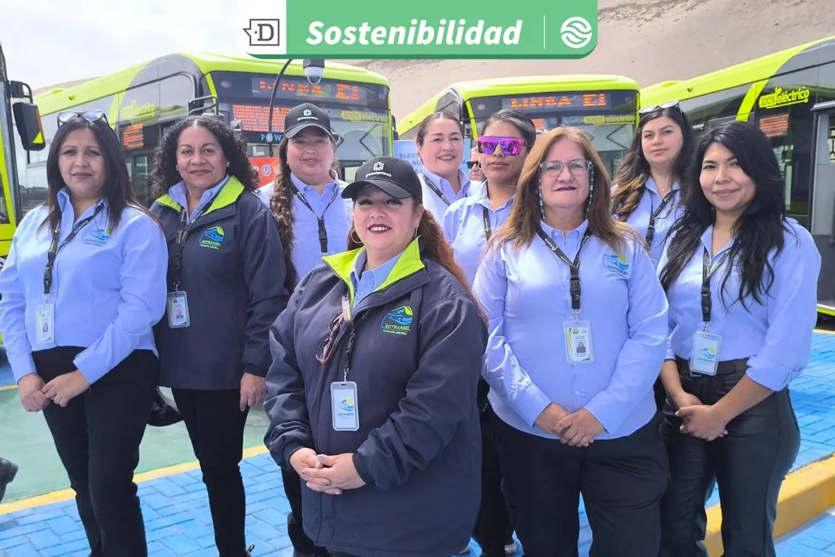 No es solo en la capital: La incorporación de 12 nuevos buses eléctricos en Arica ya suma 208 vehículos fuera de Santiago
