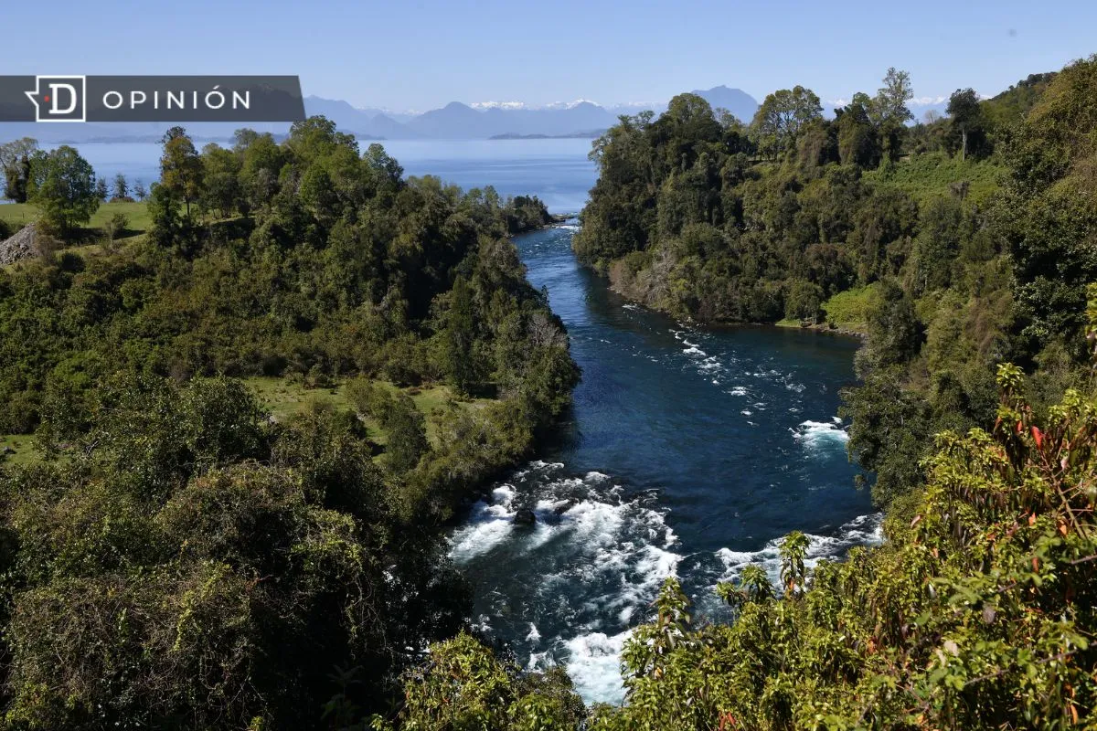 Conservación de la biodiversidad y la meta del 30x30: El desafío para Chile
