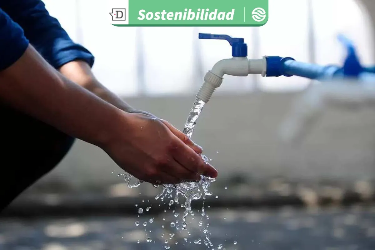 Desde Algarrobo: Startup desarrolla sistemas de purificación de agua para combatir la escasez hídrica en comunidades
