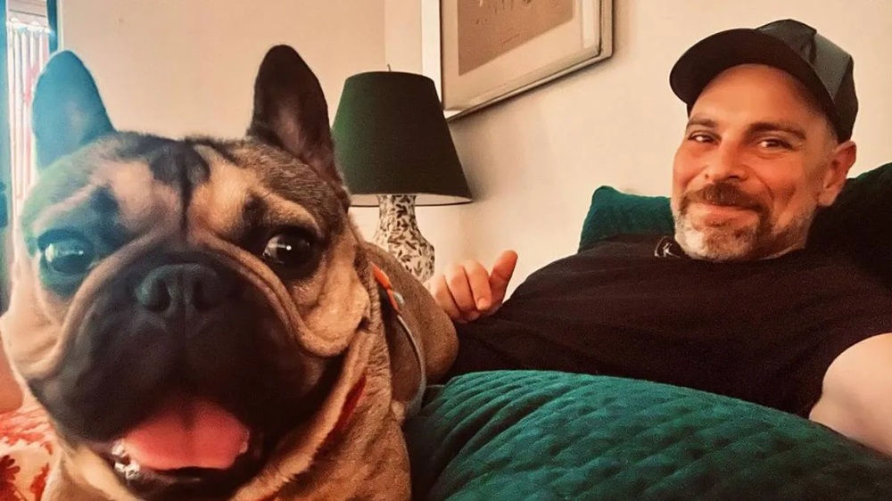 Ley Duque avanza a Sala: Proyecto otorga día libre por muerte de mascota despachado con unanimidad
