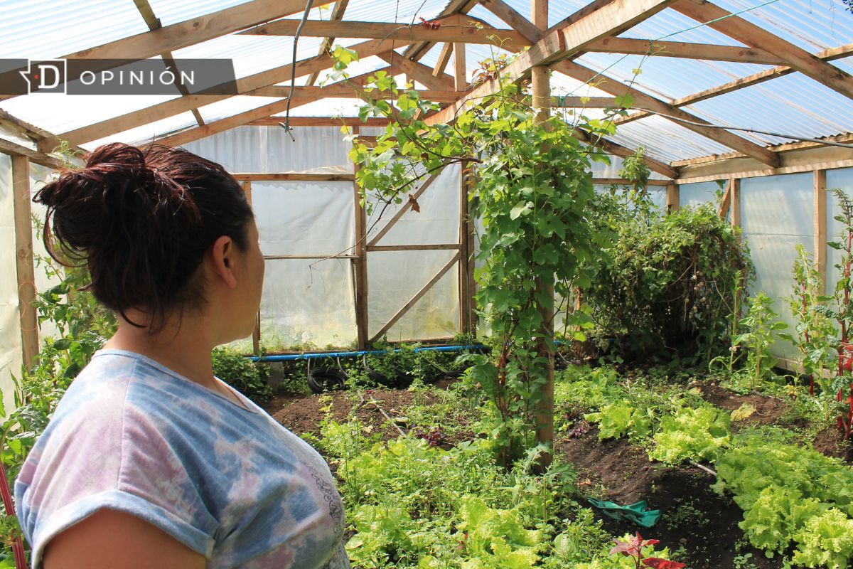 Día de las Campesinas y Campesinos: El campo como proyecto de vida