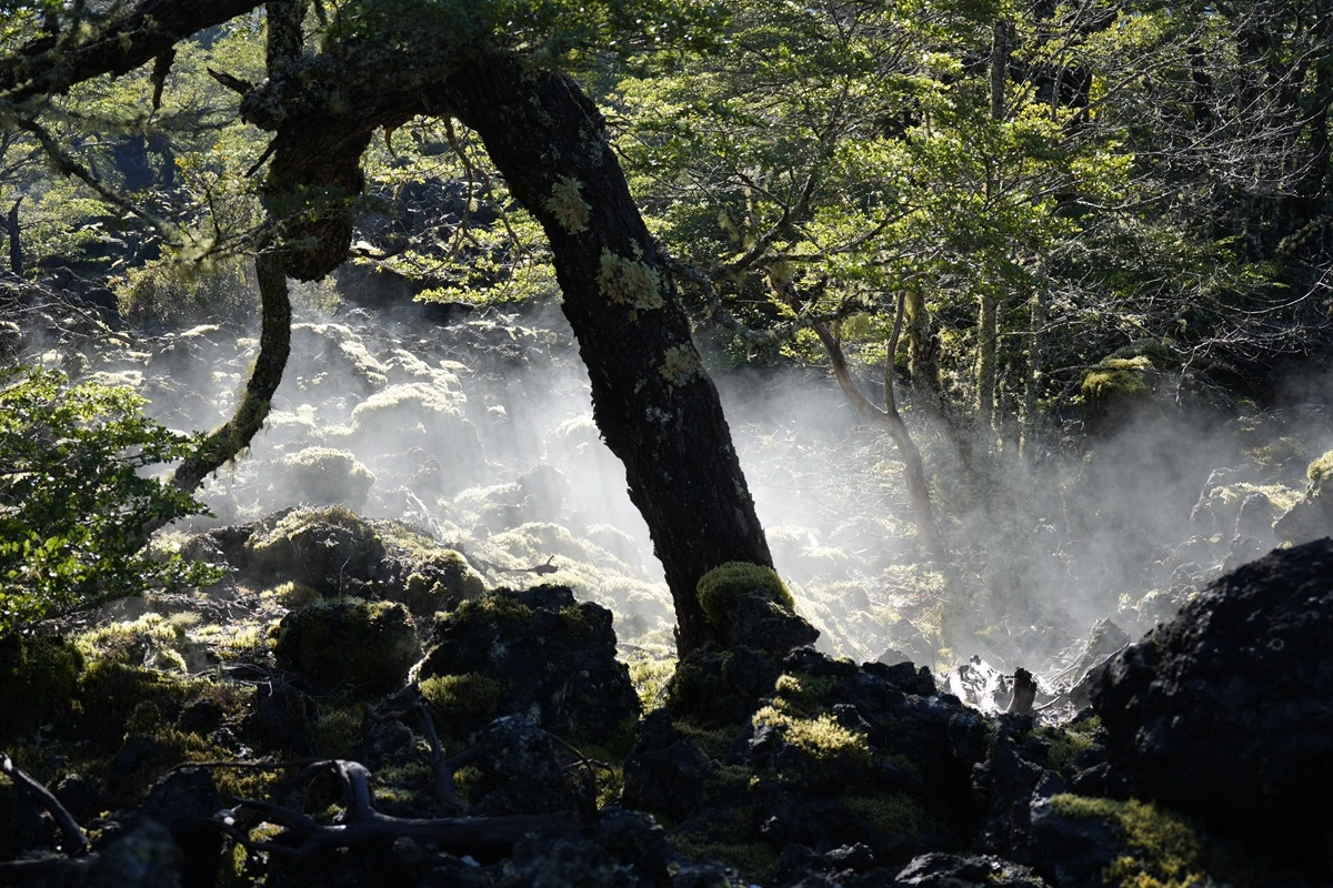Lavas milenarias de la Araucanía recibirán a científicos de UNESCO en primera conferencia de geoparques de Sudamérica
