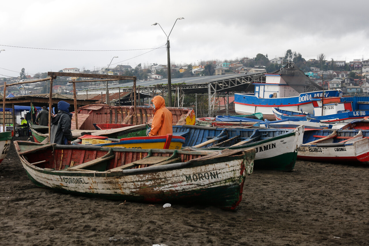 Sindicato de pescadores artesanales acusa a conocido diario de usarlos para confundir con Ley de Pesca