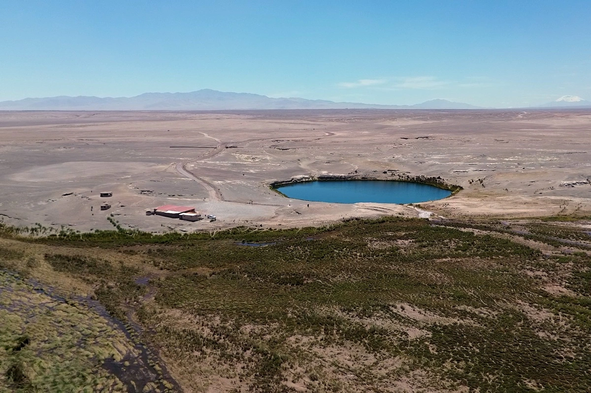 Atacameños piden declarar como Monumento Natural la laguna y vegas de las que beben sus alpacas, amenazadas por la minería