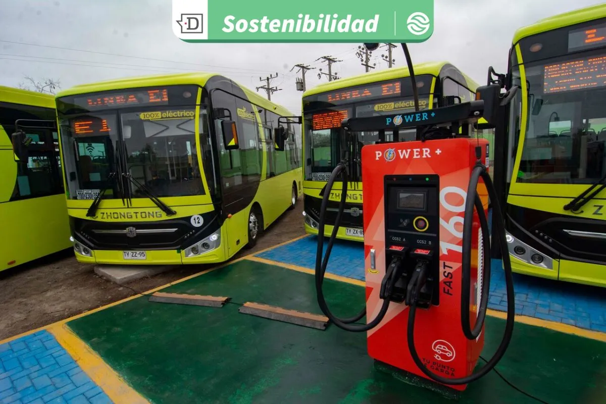Vehículos eléctricos y el próximo gobierno: Enumeran medidas para avanzar en la descarbonización del transporte