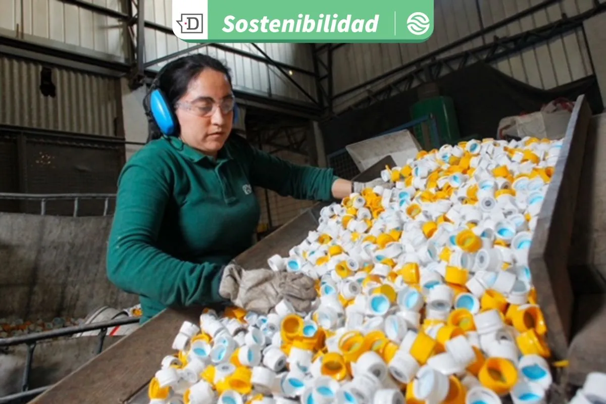 Buenas noticias para el reciclaje de plásticos en Chile: Mayor valorización de residuos industriales eleva las cifras