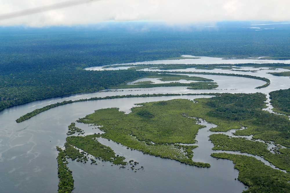 Los bosques amazónicos en tierras indígenas reducen la propagación de enfermedades