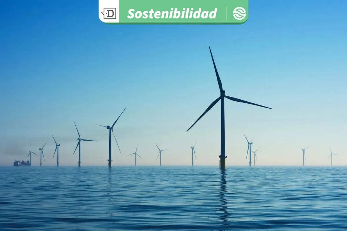 Europa y expansión de energía eólica marina: Recurren a contratos con consumidores industriales, desarrolladores y Estados