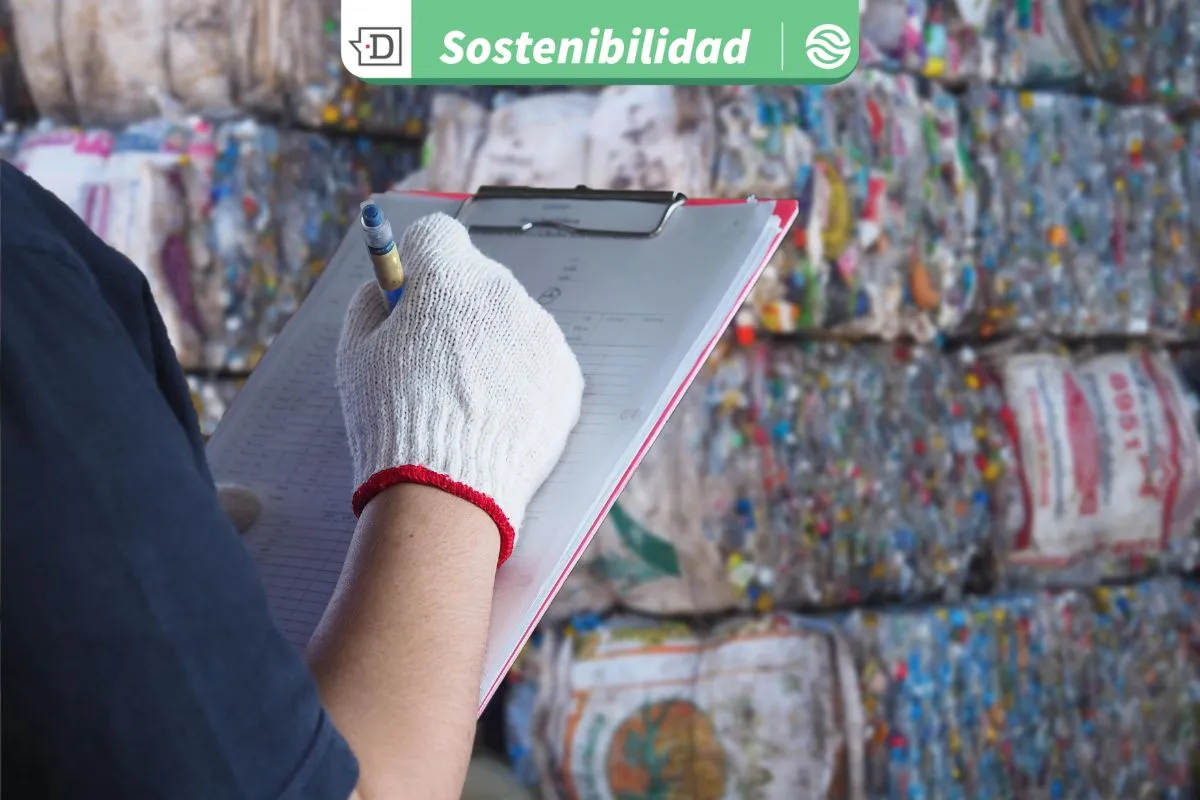 Postula ahora: Convocatoria de Corfo entregará 1.200 becas de especialización en áreas clave para la sostenibilidad