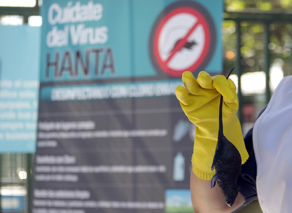 ¿Te vas de vacaciones estas Fiestas Patrias? Sigue estos consejos para que te cuides del virus Hanta