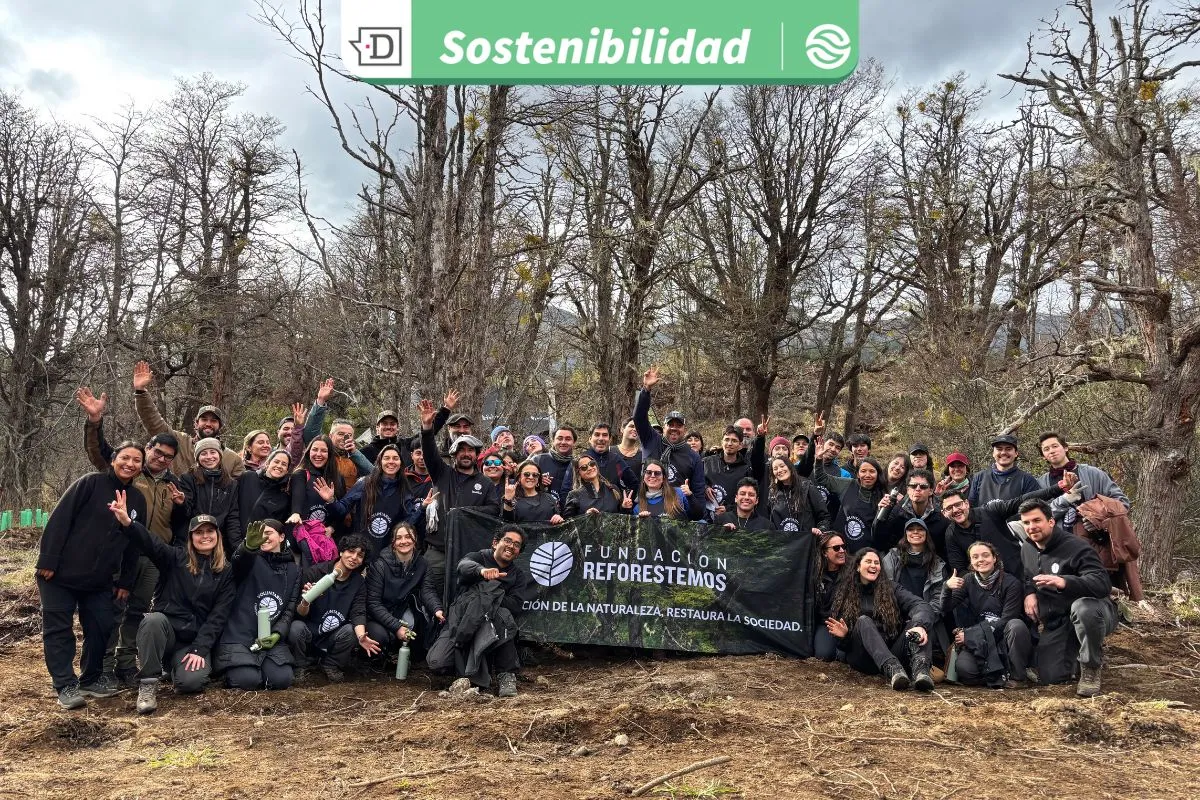 El primer arboretum escolar de Aysén: Fundación Reforestemos planta 3.000 árboles nativos en nueva jornada de voluntariado