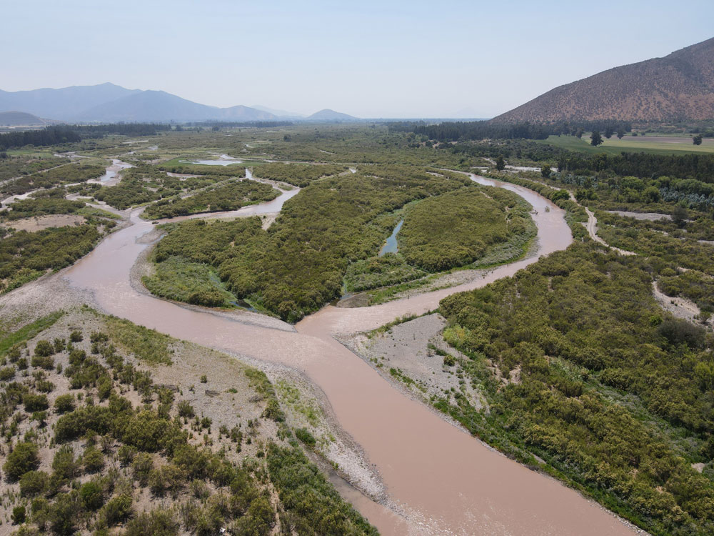 Río Maipo de Melipilla se transforma en el humedal urbano más grande de Chile: Ecosistema acuático cuenta con 2.321 hectáreas