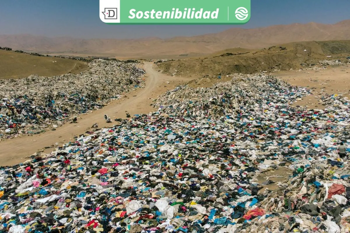 VIDEO| Científicos logran proceso químico que tarda solo 15 minutos en descomponer los textiles en moléculas