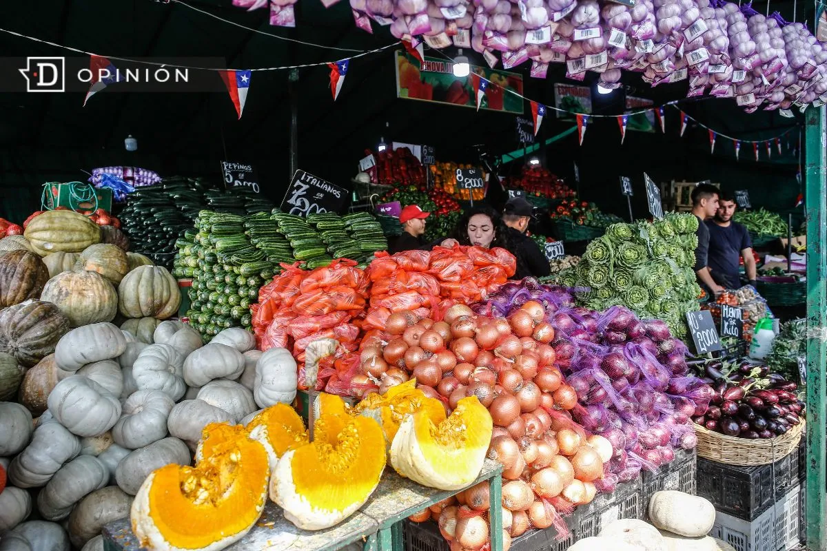 ¿Chile como potencia energética y alimentaria?: Lo que obvian los programas presidenciales