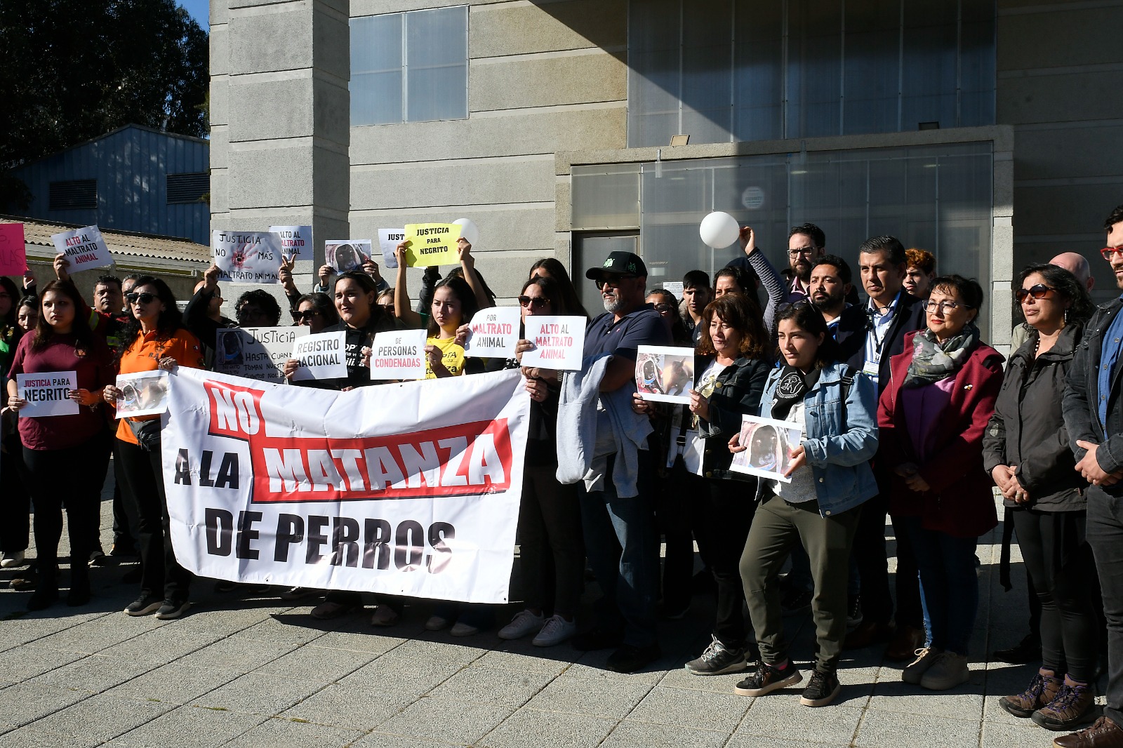 Acusan a funcionario PDI: Ingresan querella por muerte de perro comunitario del Hospital de Quilpué