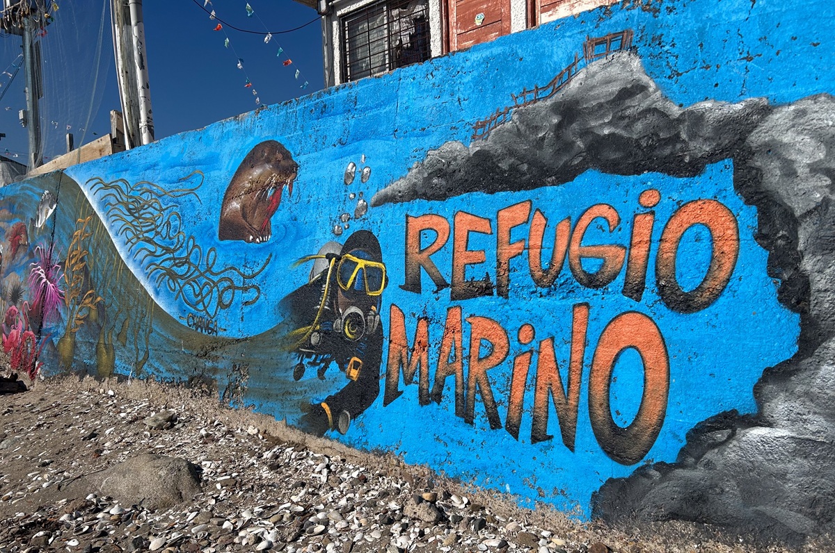 De profesores que dan clase en el mar hasta pescadores que dejan de pescar: Comunidades de Chile protegen el oceano
