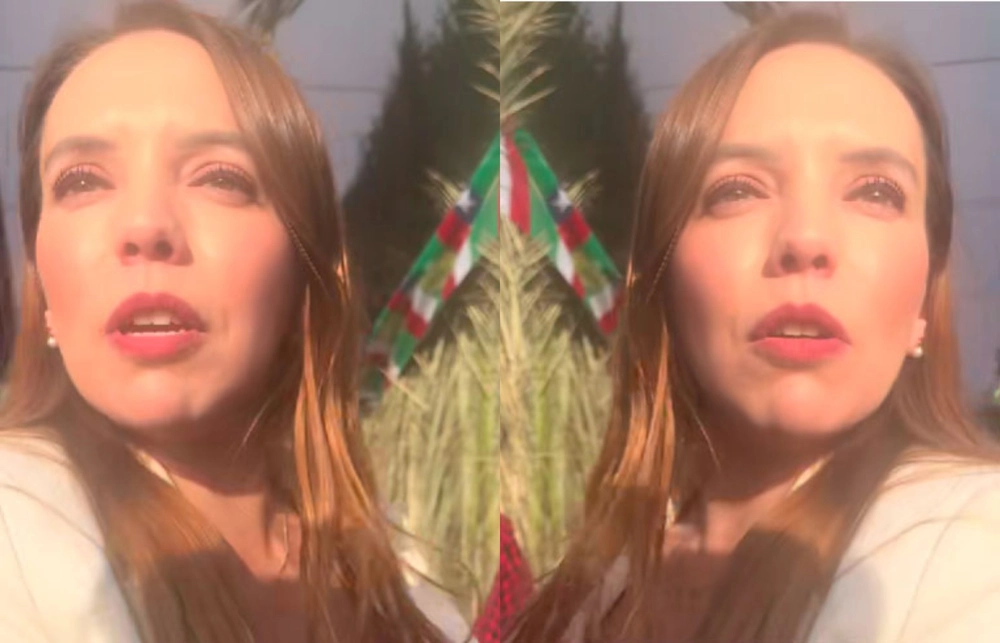 VIDEO| La viral reacción de Camila Flores en una fonda: “Chile se cae a pedazos por culpa de ustedes, orcos zurdos”