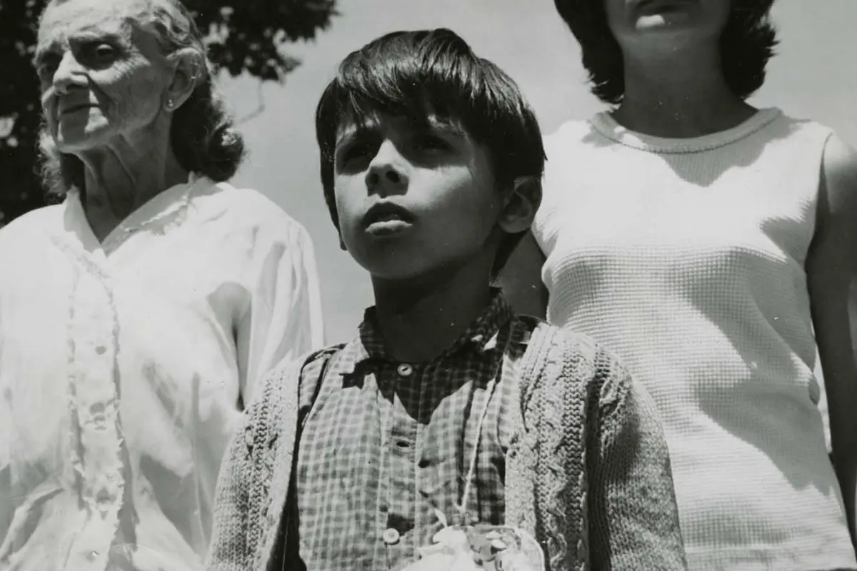 Las 10 mejores películas para celebrar la chilenidad según el director de la Cineteca Nacional