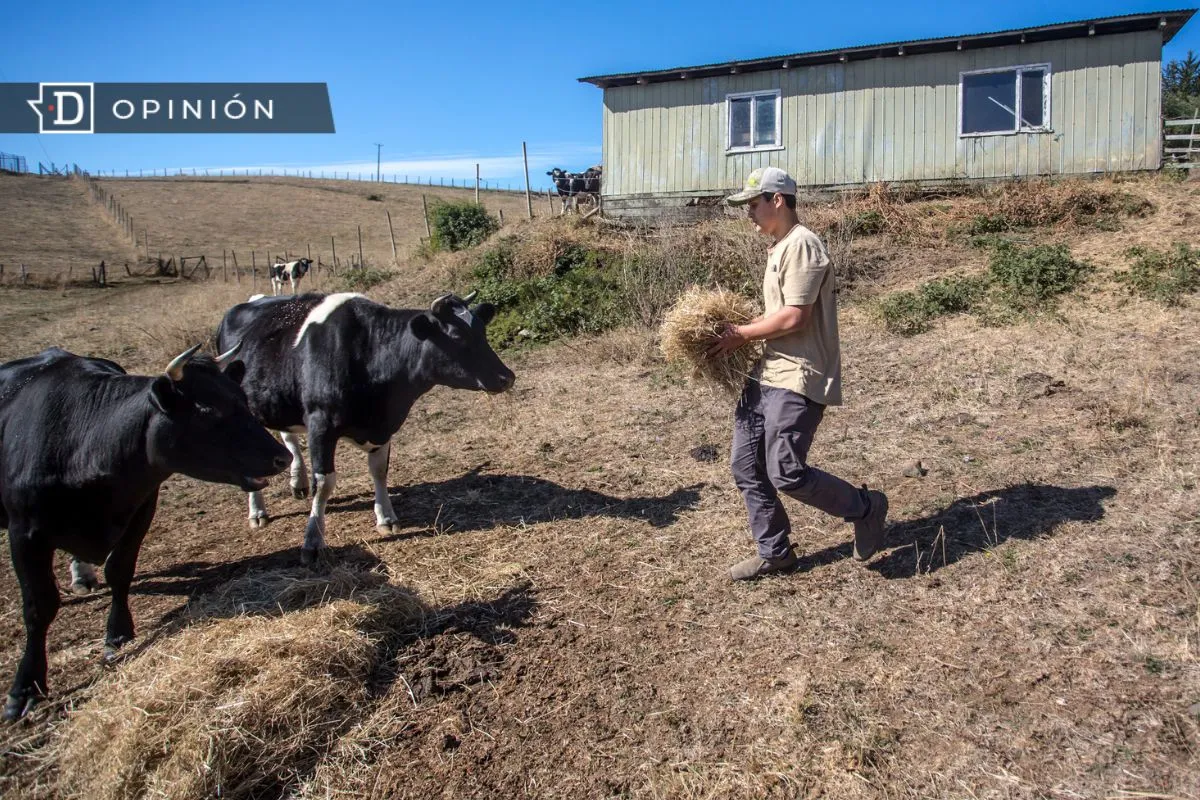 Conectividad rural: ¿Vamos a seguir mirando para otro lado?