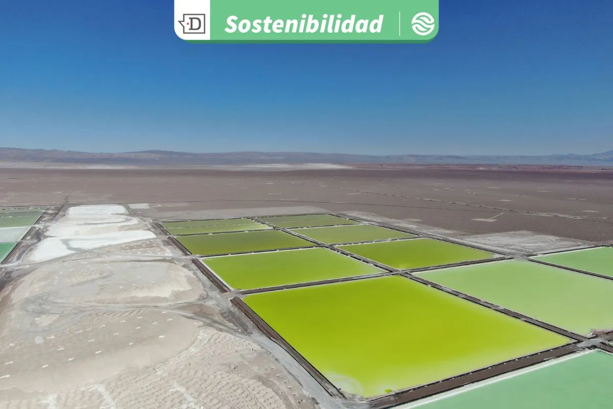 Positiva gestión: Empresa reducirá al 50% el uso de agua continental en el Salar de Atacama y se consolida en el mercado del litio