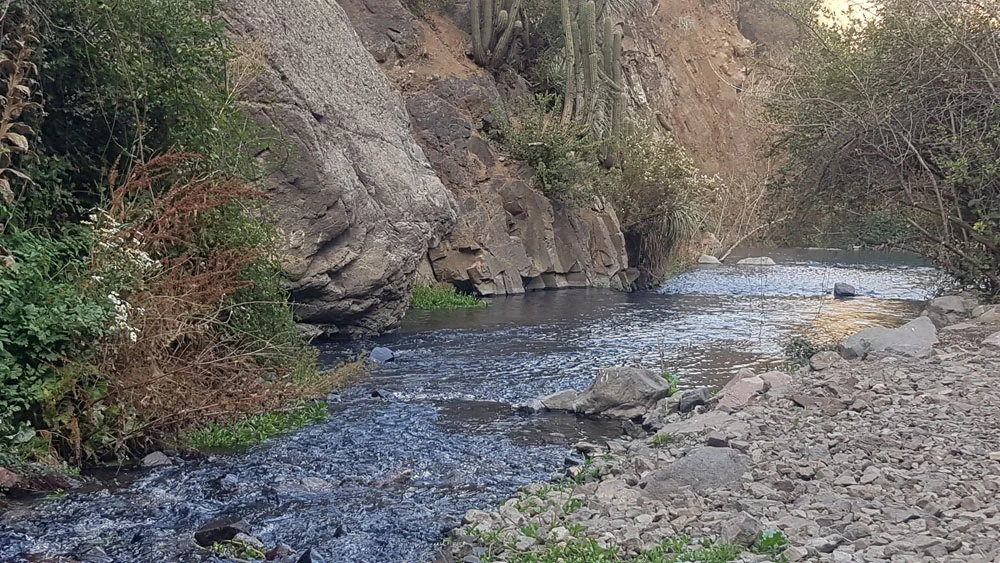MMA protege Estero del Arrayán y Región Metropolitana suma 6.000 hectáreas resguardadas