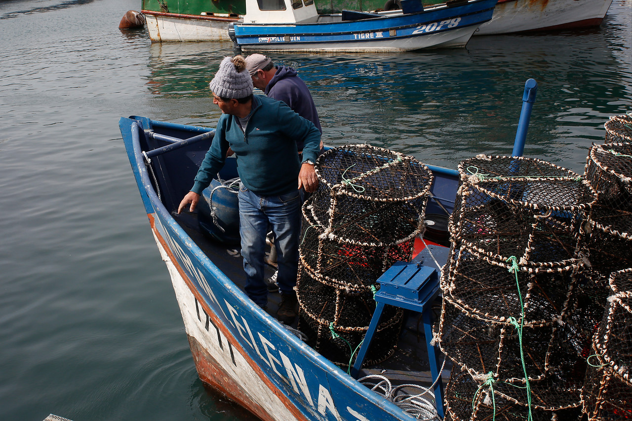Subsecretaría de Pesca confirma aumento de desembarcos en Chile: El mayor de los últimos cinco años