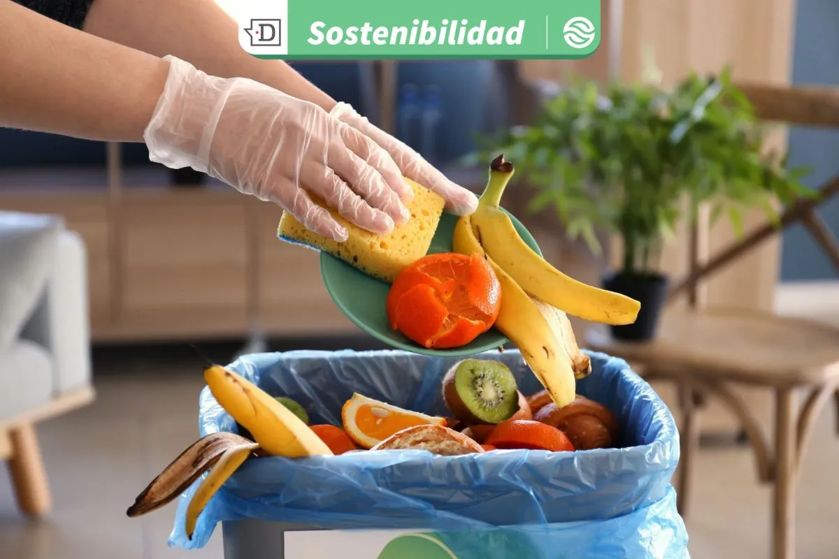 Chilenos botan frutas, verduras y pan: Día Internacional de Concienciación sobre la Pérdida y el Desperdicio de Alimentos