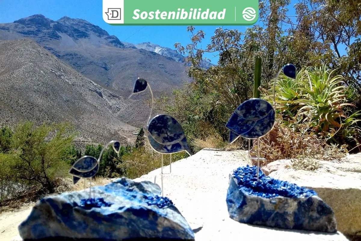 Reconocimiento internacional para la región de Coquimbo: Monte Patria se erige como destino ecocultural latinoamericano