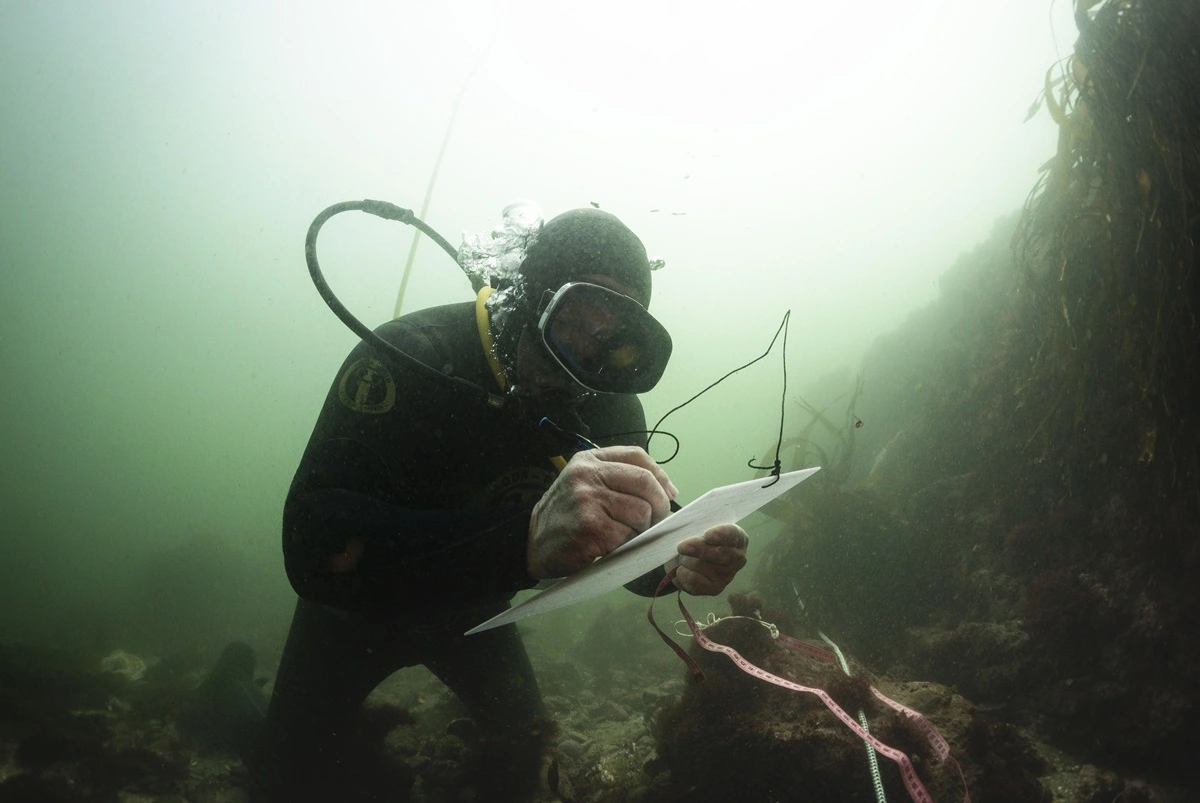 Pescadores artesanales se convierten en buzos científicos y ayudan a catastrar la biodiversidad submarina