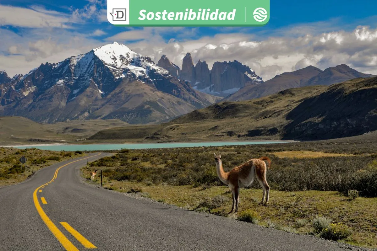 Chile y la protección de su biodiversidad: Se aproxima V Encuentro Nacional de Áreas Protegidas y Comunidades Portal
