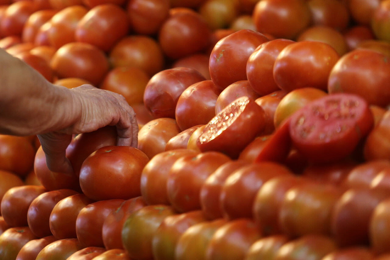 IPC de septiembre sube 0,5% en el mes de la patria: Tomates, pan y transportes en bus tuvieron alzas