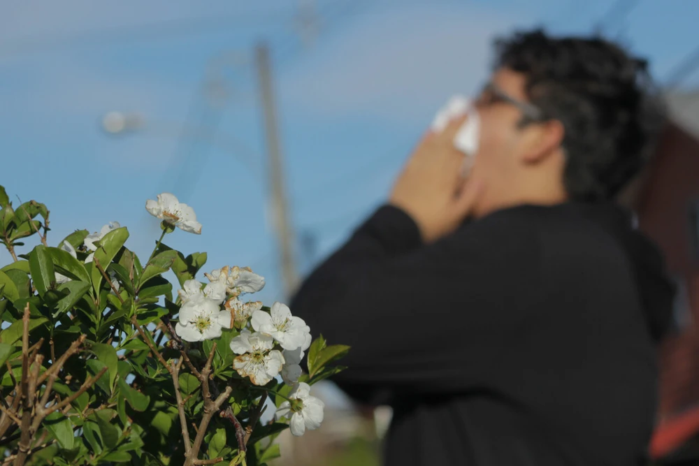 ISP retira del mercado medicamento contra la alergia en medio del alza de molestias durante primavera