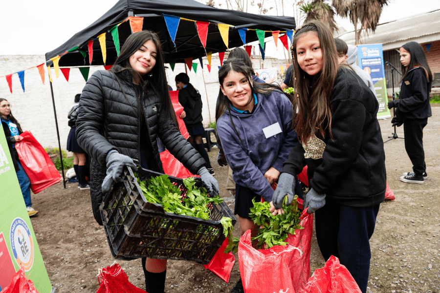 Voluntarios recolectan sobras de vegetales en ferias para comedores populares: 18.500 beneficiados