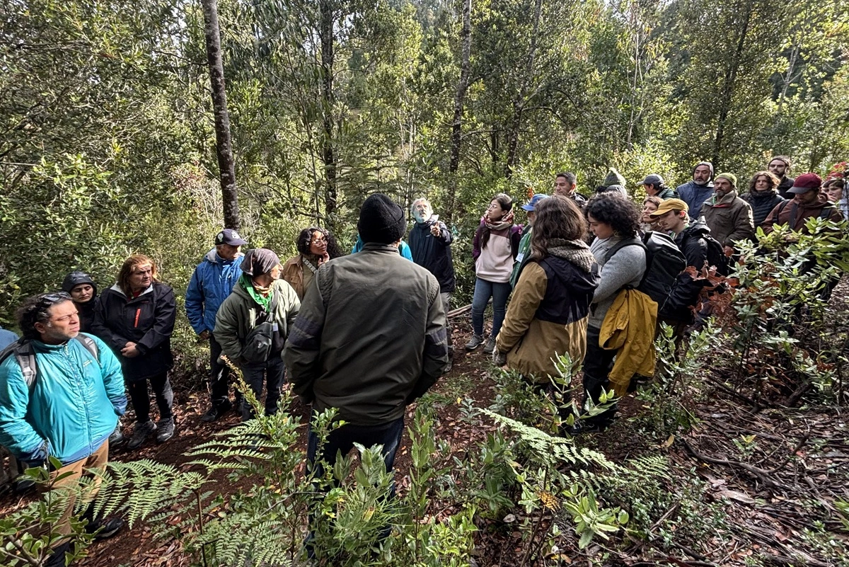 Nace primera red de vigilantes del bosque nativo: Vecinos e indígenas monitorean 11 mil hectáreas entre Valparaíso y Los Lagos
