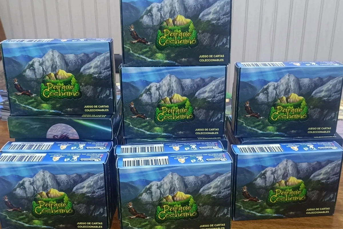 Cartas Magic de especies chilenas: Juego se populariza en colegios rurales y se celebrará primer torneo escolar