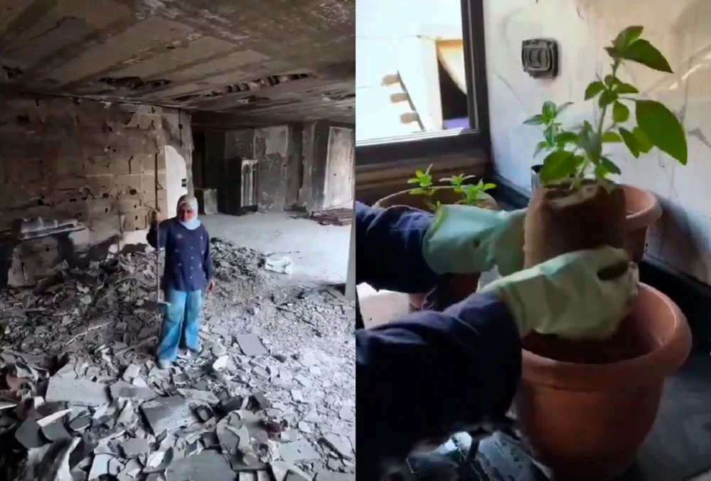 VIDEO| Renace la esperanza en Gaza: Mujer palestina muestra cómo limpia lo que queda de casa y vuelve a la vida
