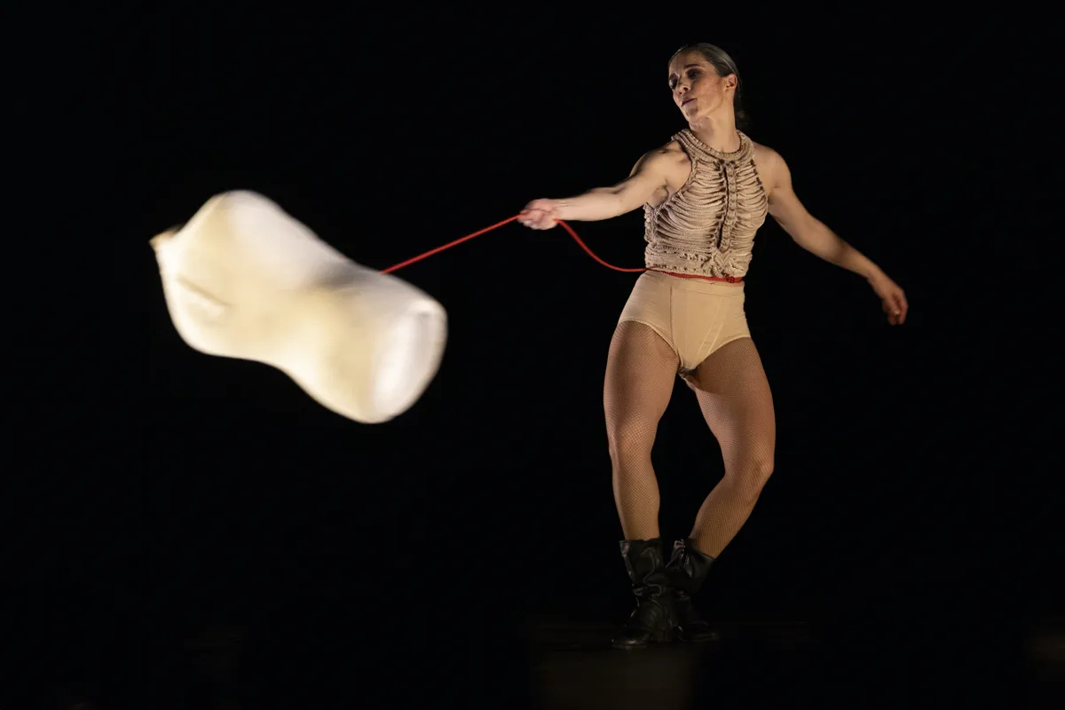 Festival de Danza se toma Biobío con actividades, clases y talleres gratuitos para todo público: Revisa programación