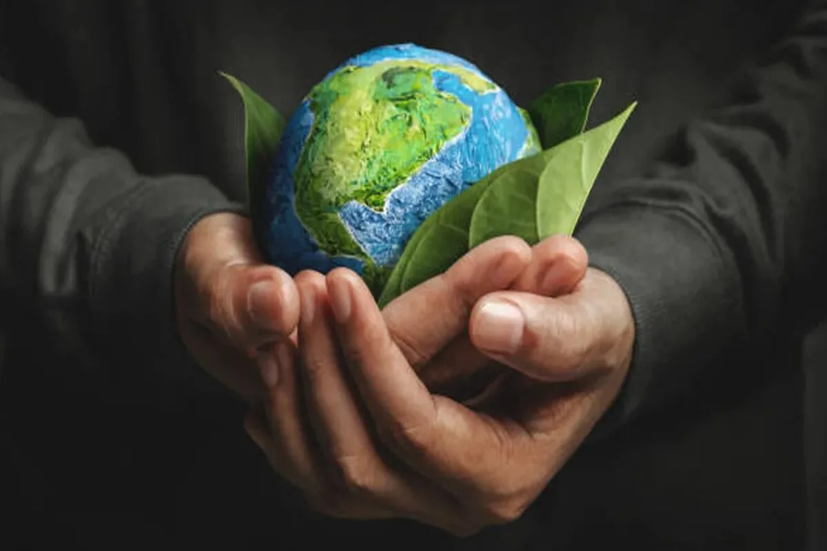Los 3 pisos mínimos que organizaciones ambientales exigen a los candidatos presidenciales ante la crisis climática