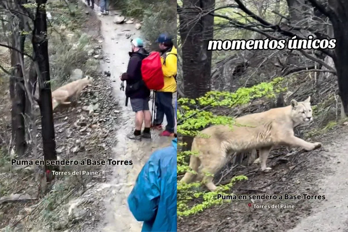 VIDEO|