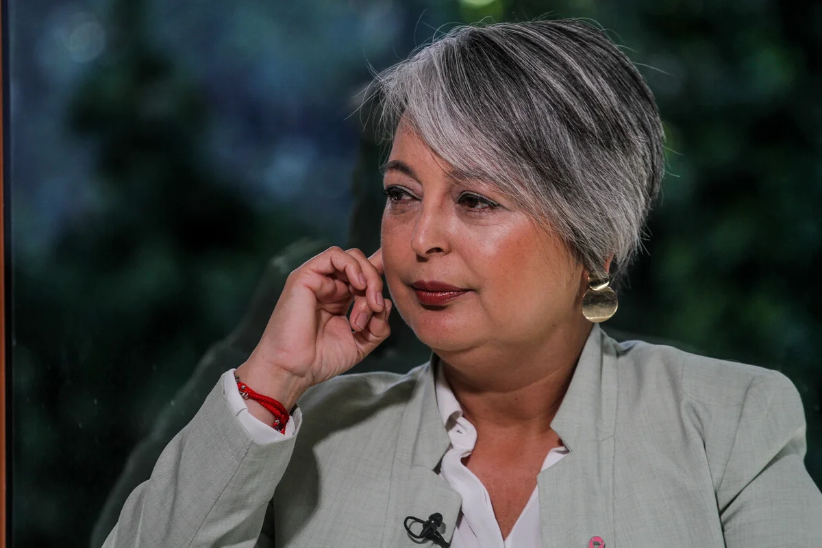 Crisis en Energía: el error de cálculo por el que Jara llamó a compensar a familias