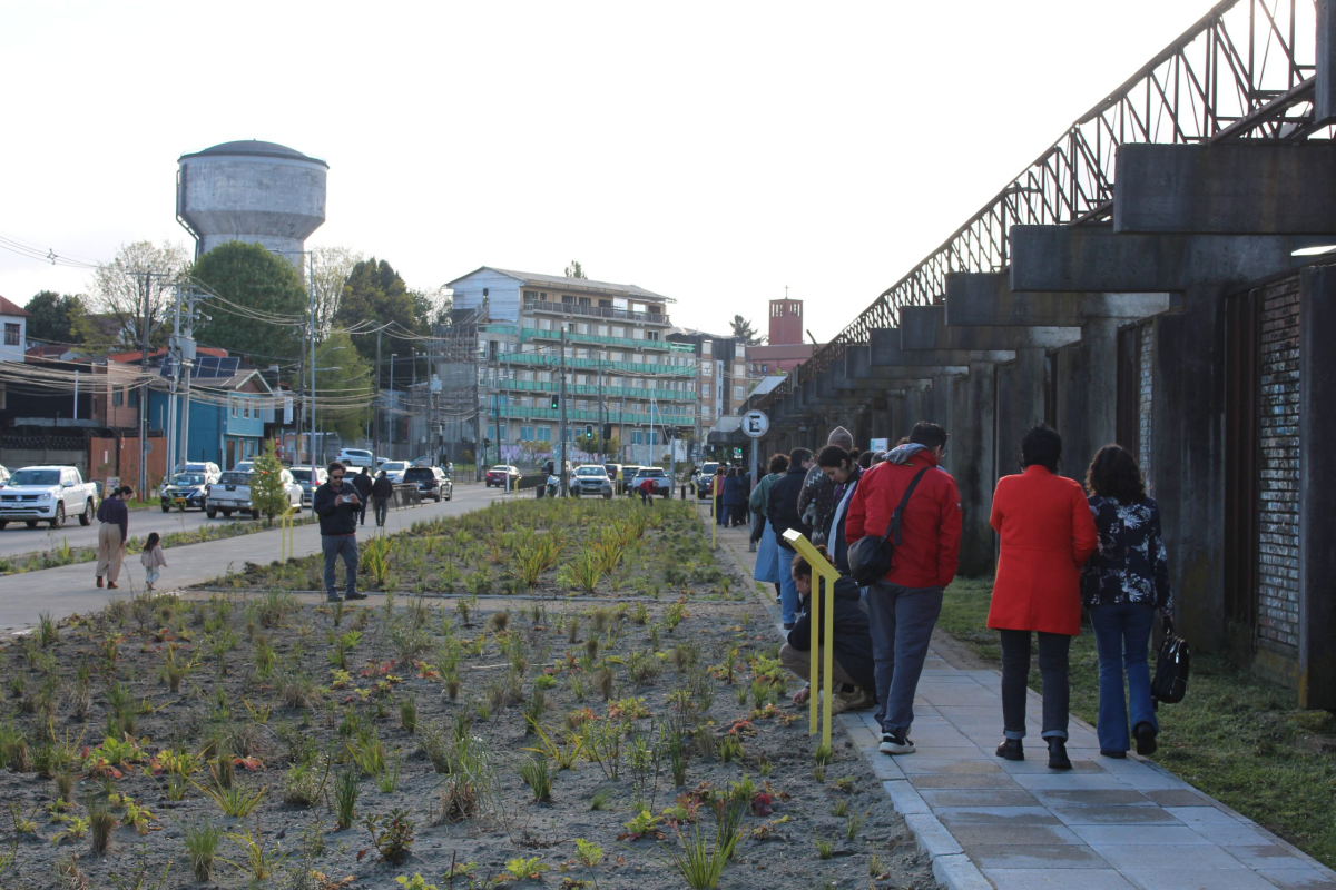 Antigua estación de trenes en Valdivia se convierte en mega jardín nativo y aula viva con 4500 plantas