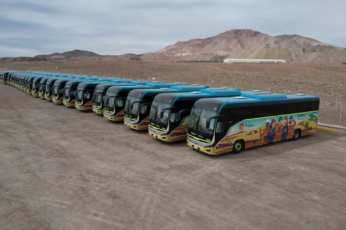 Flota de buses eléctricos.
