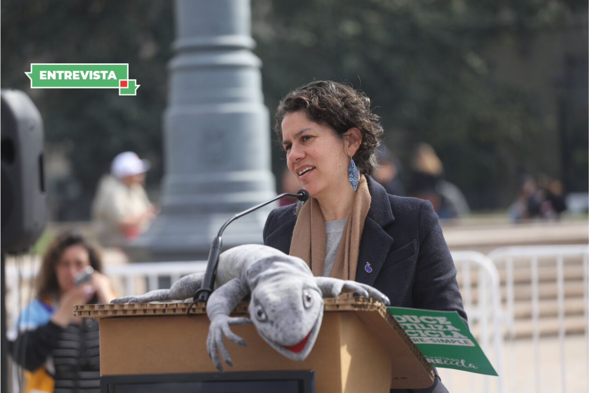 Pingüino de Humboldt entra en peligro de extinción y ministra Rojas llama a cuidar su hábitat, hoy en disputa por Dominga