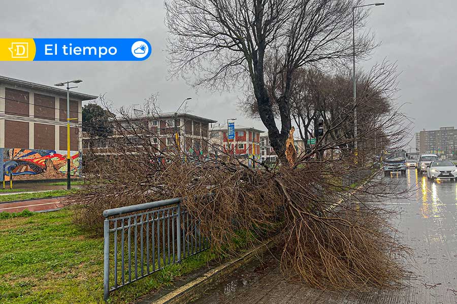 Sistema frontal causa apagón total desde la Región de La Araucanía a Los Lagos