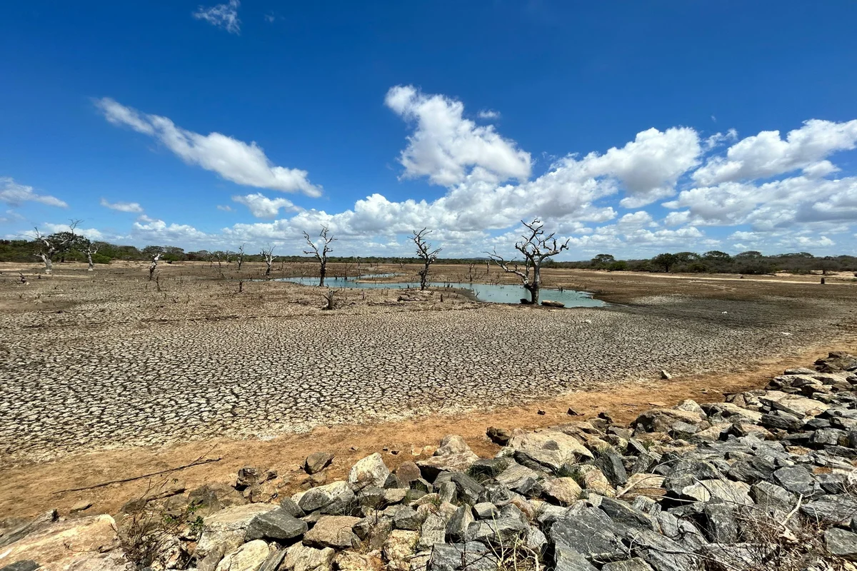 Cómo la hipersequía cambiará a Chile: conflictos por el uso de agua, menos caudales y flora